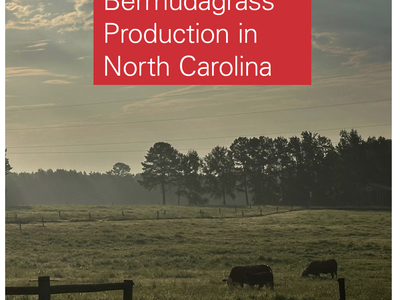 Bermudagrass Production in North Carolina
