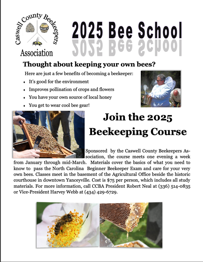 bee school