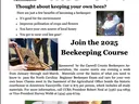 bee school