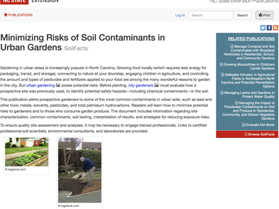 Soil contamination after flood