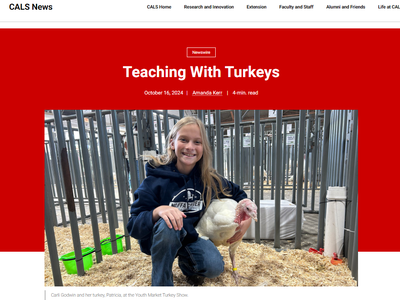 image of news article, 'teaching with turkeys'