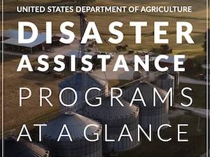 USDA Disaster Assistance Programs at a Glance