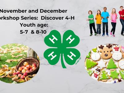 Fall apples and Christmas cookies