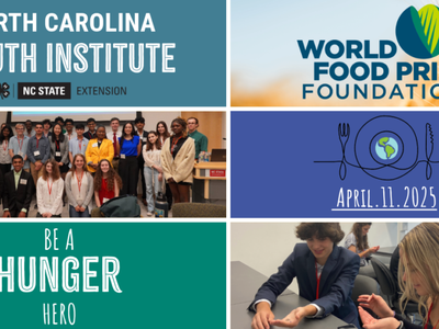 Grid with photos of student groups working at past YI events.