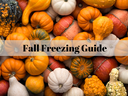 Assorted small pumpkins and gourds with overlay text "Fall Freezing Guide"