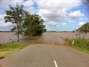 Road ending at floodwaters covering the roadway and partially submerging trees
