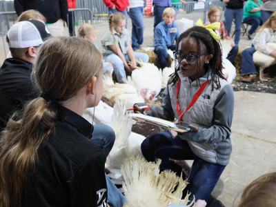 Young girl kneeling with clipboard inspecting turkeys while others sit in a barn
