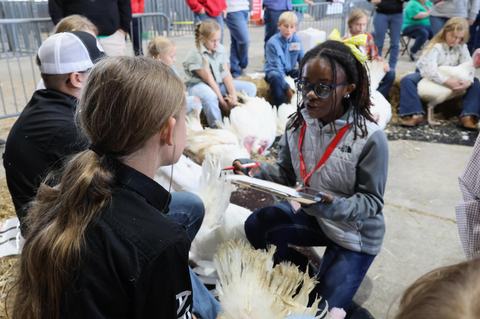Young girl kneeling with clipboard inspecting turkeys while others sit in a barn