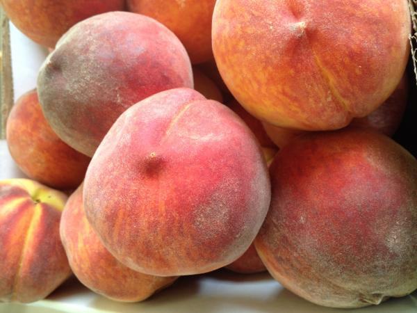 Fresh peaches after being picked, displaying their vibrant color and fuzzy texture, ready to be eaten.