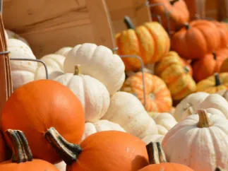 Pumpkins