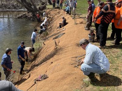 Volunteers installing erosion-control matting and planting willow stakes along a riverbank