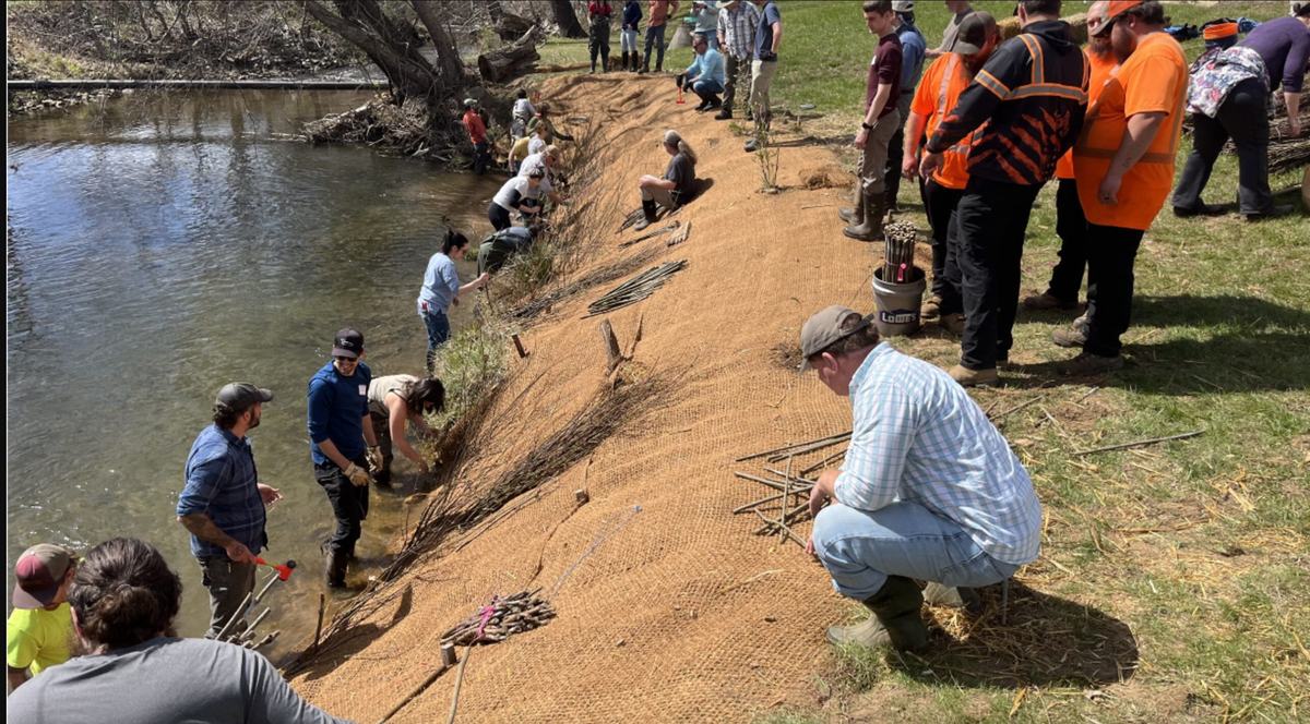 streambank restoration