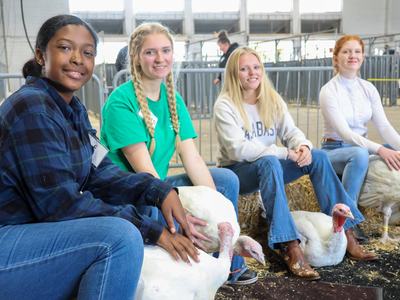 Four young people seated on hay bales handling white turkeys in a livestock barn
