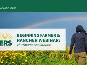 Person walking through field toward rainbow; text: NEW FARMERS — BEGINNING FARMER & RANCHER WEBINAR: Hurricane Assistance