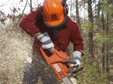Man using a chainsaw while wearing safety equipment including gloves and a hard hat