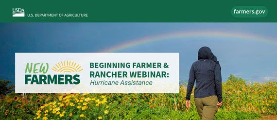 Person walking through field toward rainbow; text: NEW FARMERS — BEGINNING FARMER & RANCHER WEBINAR: Hurricane Assistance