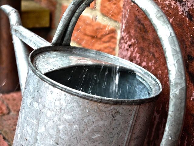 watering can