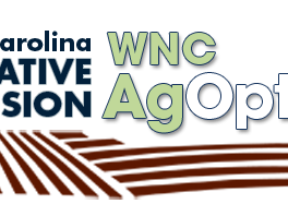 Ag Options Logo