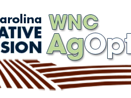 Ag Options Logo