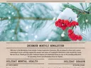 Lincoln County Cooperative Extension cover NEWSLETTER with snow-covered red berries