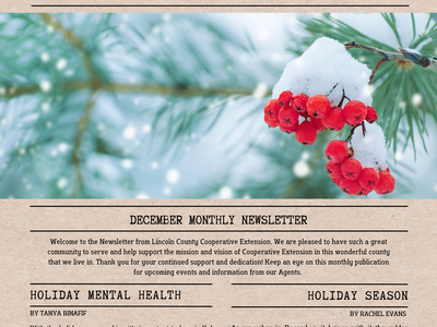 Lincoln County Cooperative Extension cover NEWSLETTER with snow-covered red berries