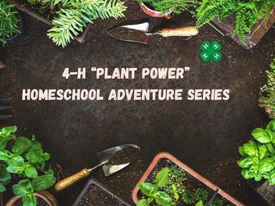 Plants, pots, and shovel