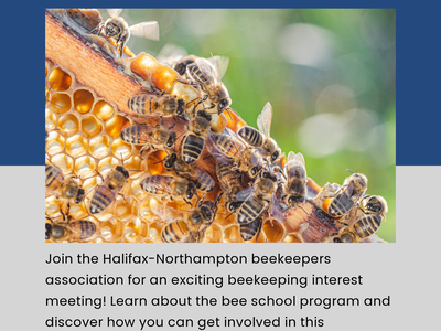 Buzzing Beekeeping Event poster: bees on honeycomb; Sat Jan 25 2025 10 AM, Halifax NC