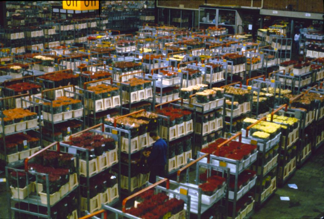 Flower Warehouse Near Amsterdam