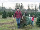 Man dragging cut Christmas tree with family walking behind in tree farm