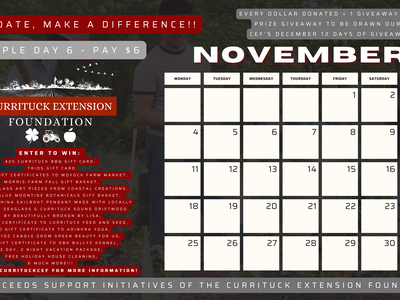 November giveaway calendar