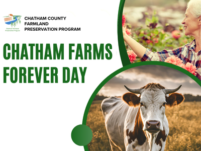 Cow in a field and woman tending flowers; text "CHATHAM FARMS FOREVER DAY"