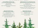 choose and cut flyer 2024