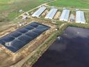 Aerial farm view with black-covered lagoon beside barns and an aerated wastewater pond