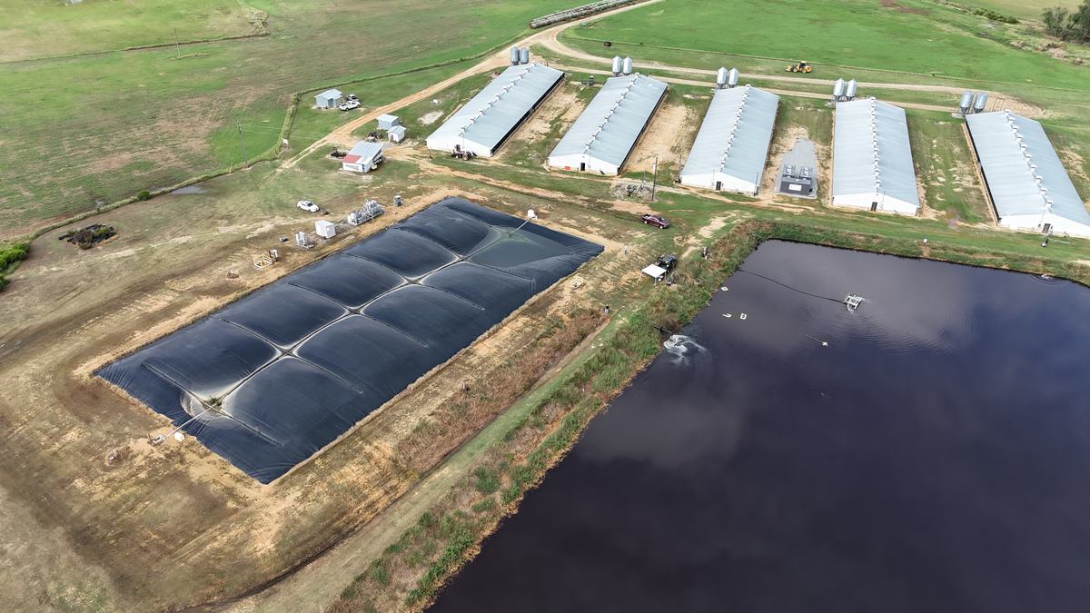Aerial farm view with black-covered lagoon beside barns and an aerated wastewater pond