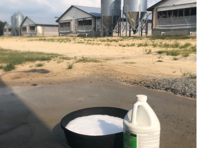 Farm biosecurity pic