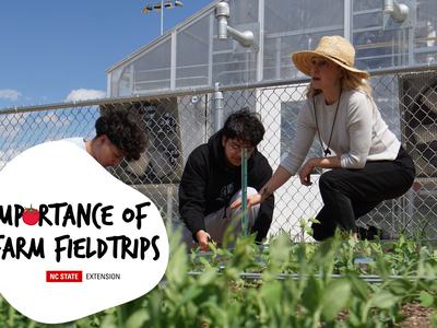 Students learn in a garden.