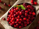 Fresh Cranberries