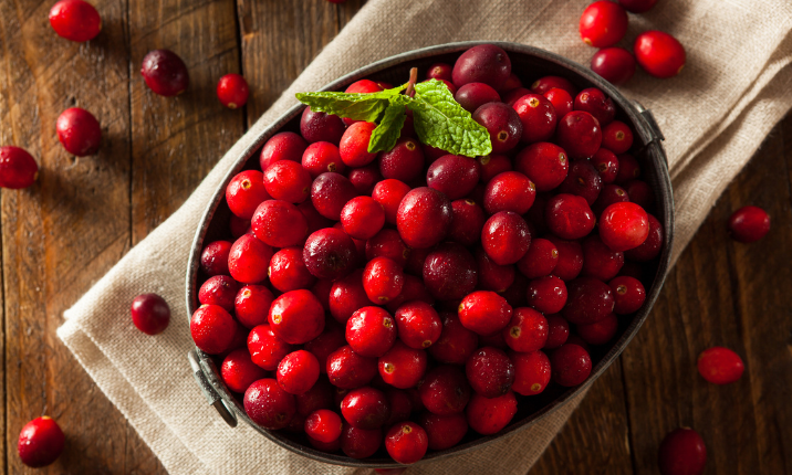 Fresh Cranberries