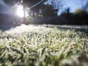 Frost on the grass