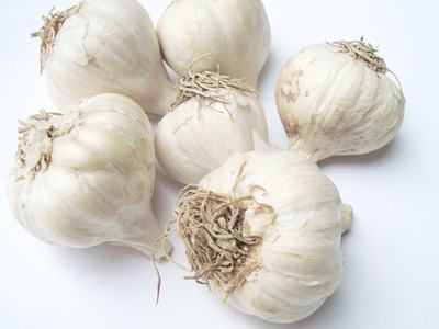Six garlic bulbs grouped closely together on a clean white backdrop, showcasing their shapes and textures in a simple presentation.