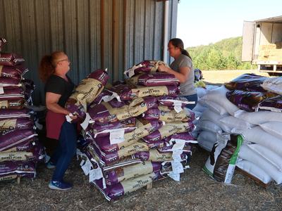 Extension employees and volunteers assist with local donations and recovery efforts for Western North Carolina in the wake of Hurricane Helene.