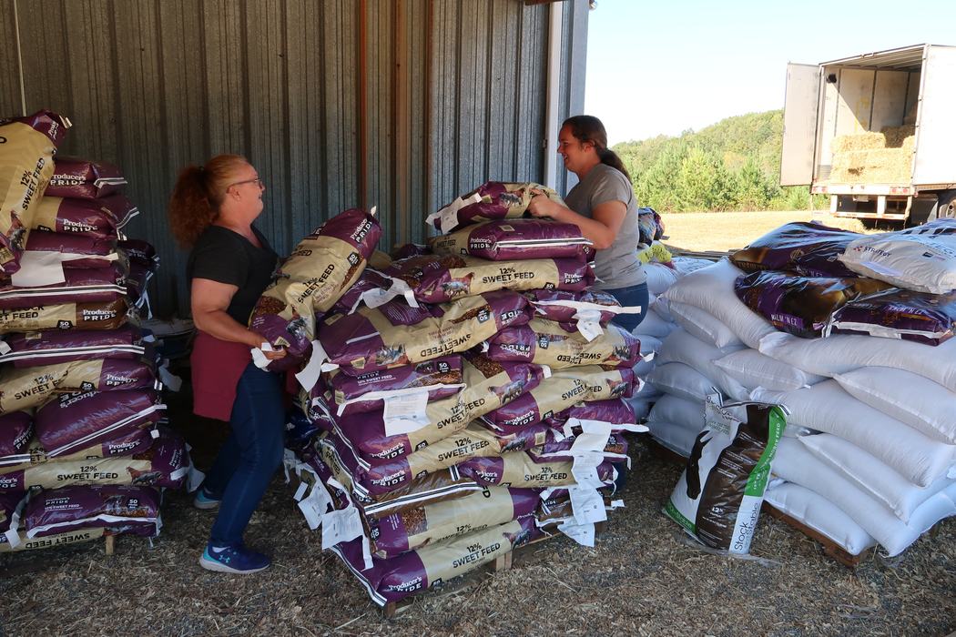 Extension employees and volunteers assist with local donations and recovery efforts for Western North Carolina in the wake of Hurricane Helene.