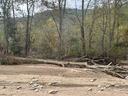 Tree that fell.