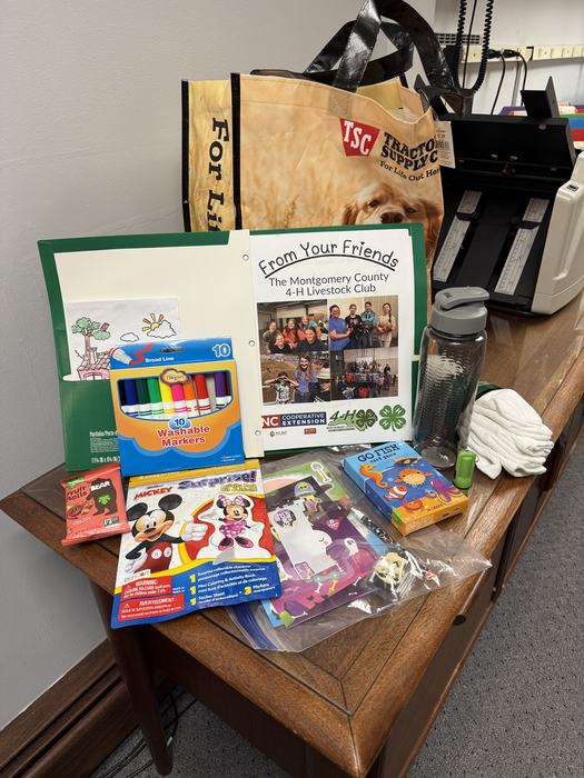 4-H Goodie Bag