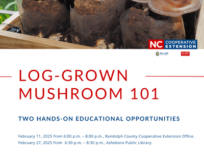 Clusters of shiitake mushrooms growing in inoculated log bags; text "LOG-GROWN MUSHROOM 101"