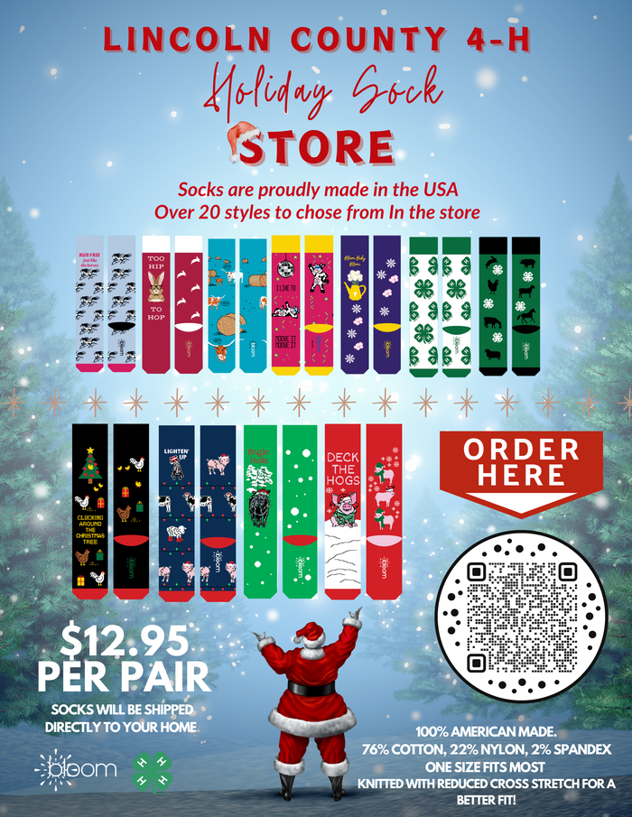 Lincoln County 4-H Holiday Sock Store poster showing sock designs, $12.95 per pair, Order QR