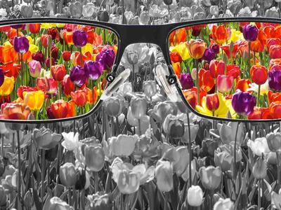 Discover a training, Marketing and Communications Essentials for New Extension Experts, for Extension employees in North Carolina.