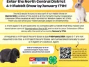 rabbit show QR code, and photo of a rabbit