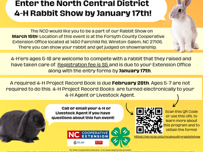 rabbit show QR code, and photo of a rabbit