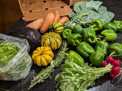CSA box from the week of november 7th